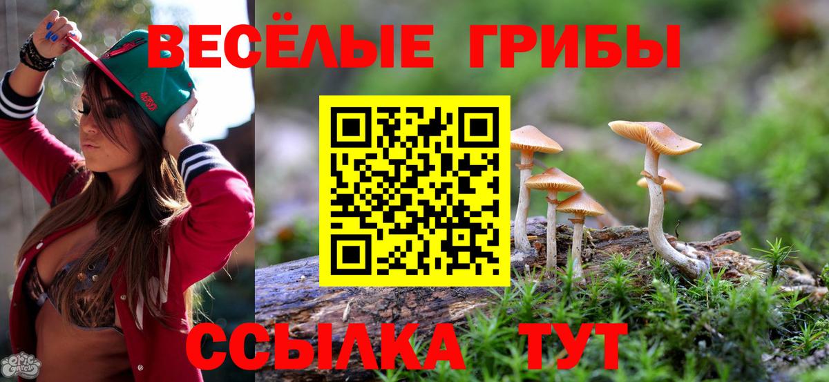 Галлюциногенные грибы Cubensis  Галлюциногенные грибы Magic Shrooms  Вход с VPN  Энгельс 