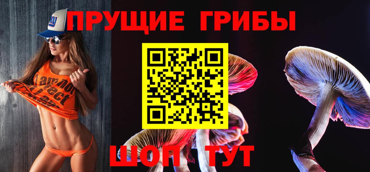 Галлюциногенные грибы GOLDEN TEACHER Энгельс